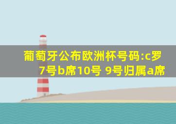 葡萄牙公布欧洲杯号码:c罗7号b席10号 9号归属a席